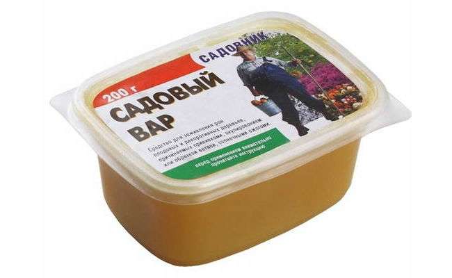 Садовый вар для обработки срезов и спилов на деревьях и кустарниках