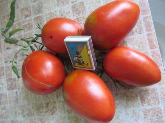 Де Борао Гигант