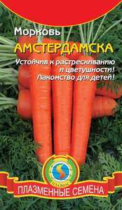 Морковь Амстердамская