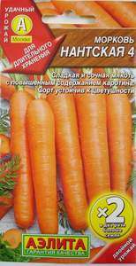 Сорт моркови Нантская-4