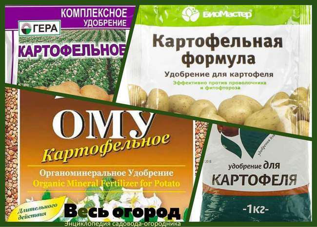 выбираем удобрение для картофеля