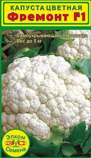 Капуста сорта Фремонт Ф1