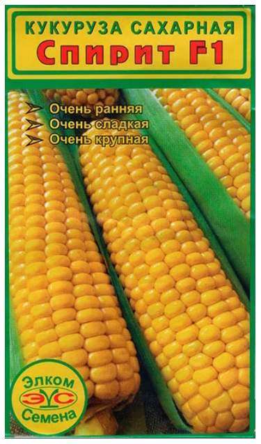 Кукуруза Спирит