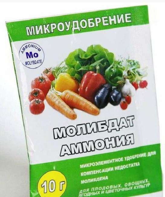 Подкормка брокколи молибденом