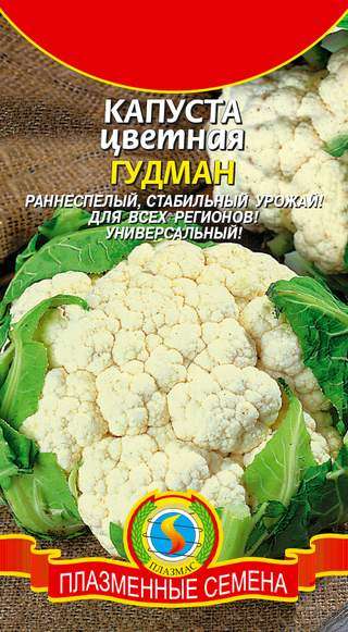 Сорт капусты Гудман