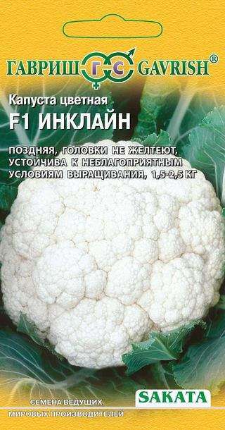 Инклайн – разновидность сорта цветной капусты