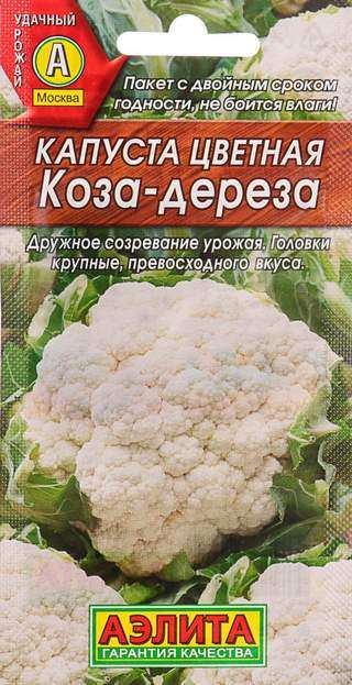 Сорт капусты Коза дереза