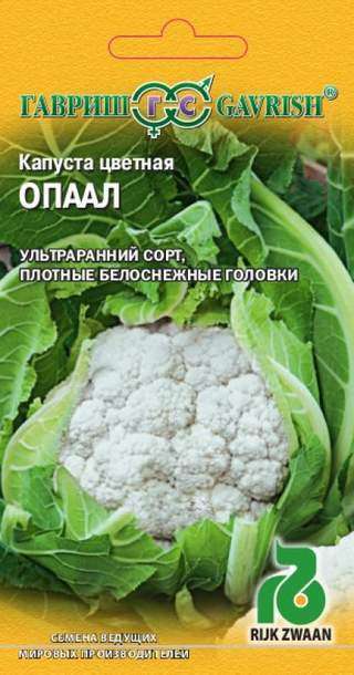 Сорт капусты Опал