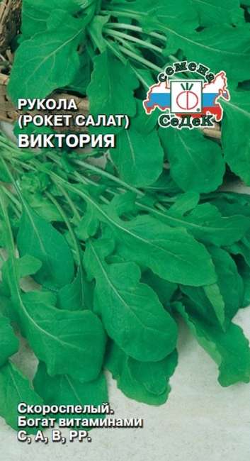 Руккола Виктория