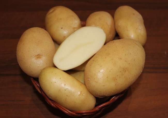 Крепыш