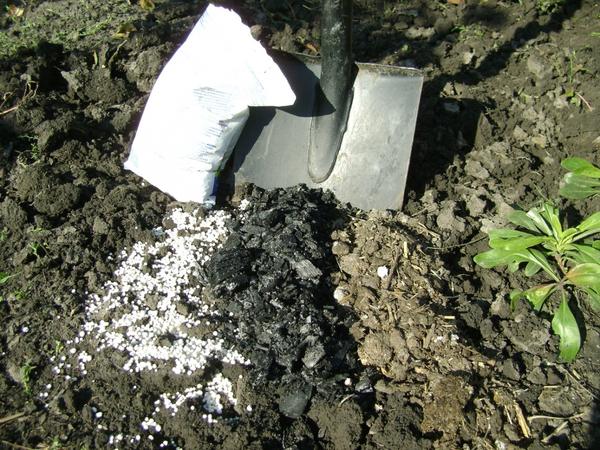 Минеральные и органические удобрения для огурцов