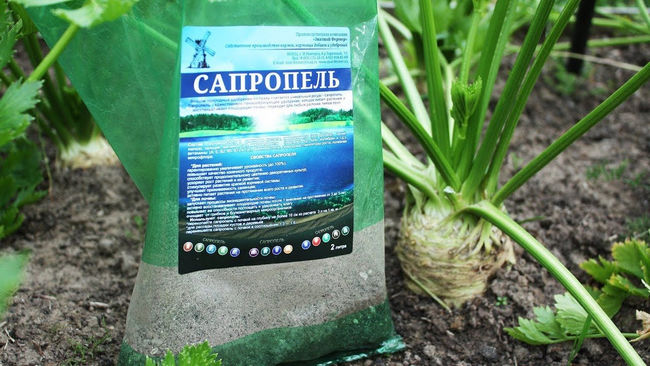 Как использовать сапропель