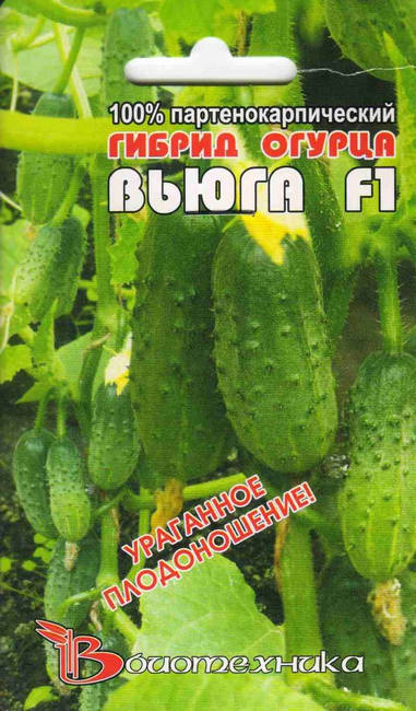 Огурцы Вьюга