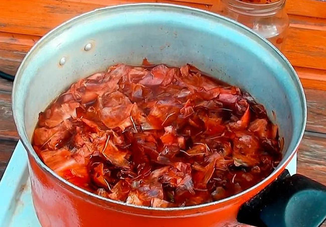 Рецепты отваров из луковой шелухи