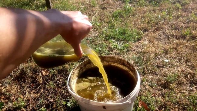 Органические удобрения при осенней подкормке