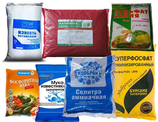 Минеральные удобрения для клубники