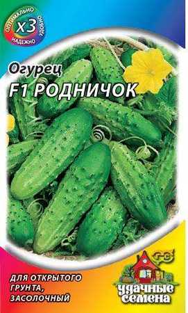 Сорт огурца для открытого грунта Родничек