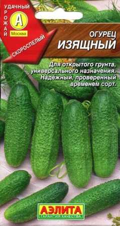 Сорт огурцов Изящный
