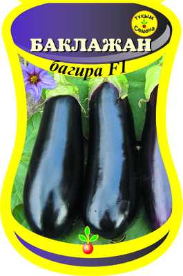 Баклажан Багира