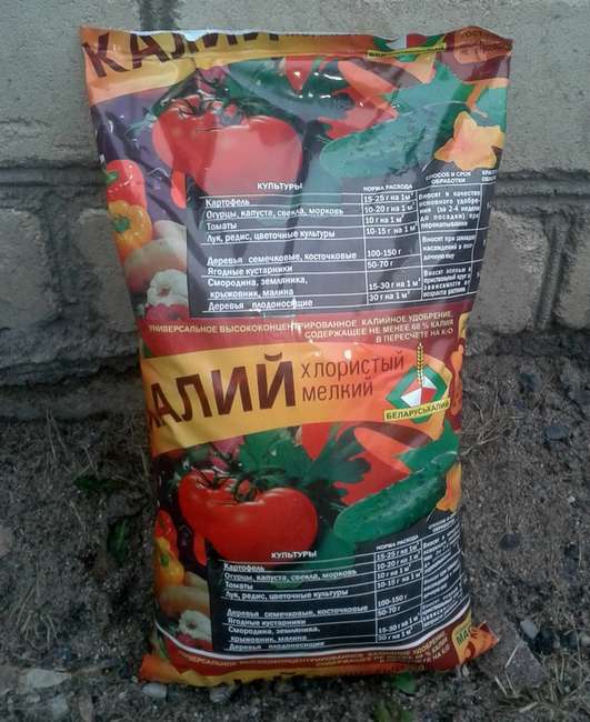 Когда применять хлористый калий