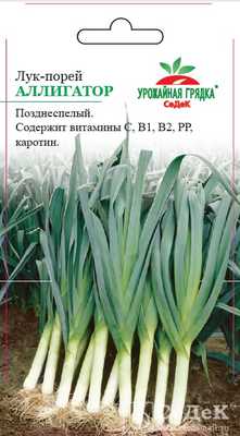 Лук порей Аллигатор