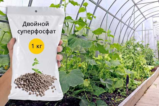 Преимущества двойного суперфосфата