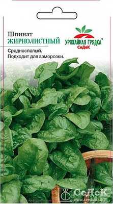 Сорт шпината Жирнолистный