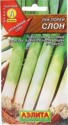 сорт лука-порея Слон