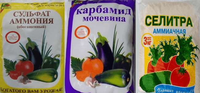 Что относится к азотным удобрениям