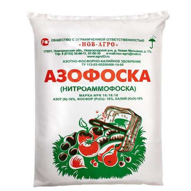 Азофоска удобрение применение на огороде
