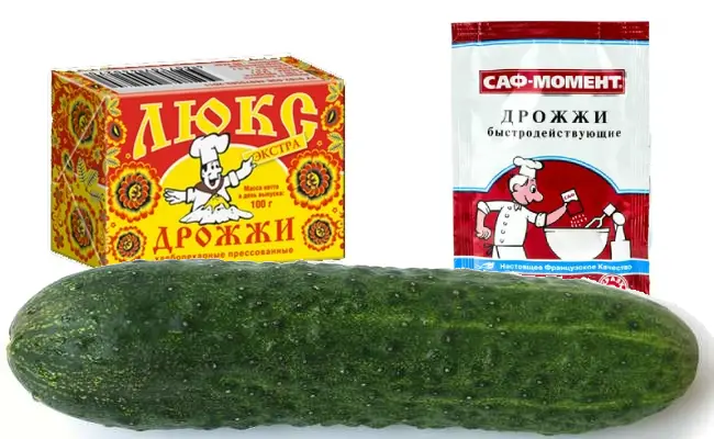 подкормка огурцов дрожжами